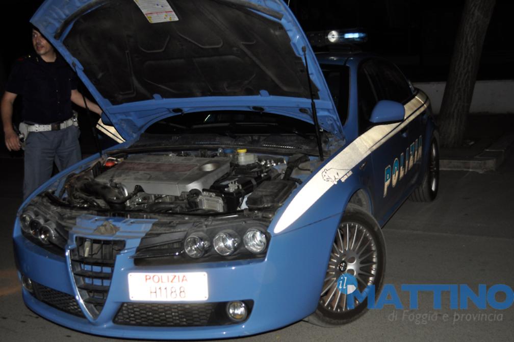 Assalto NP Service