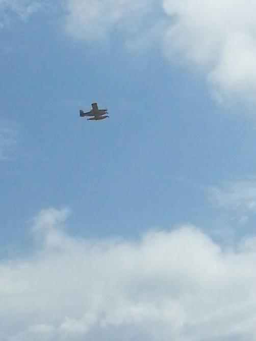 Tremiti, a fuoco 50 ettari su San Domino: Canadair della Regione all'opera per domare le fiamme