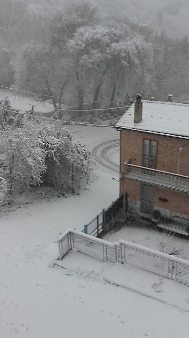 Alberona