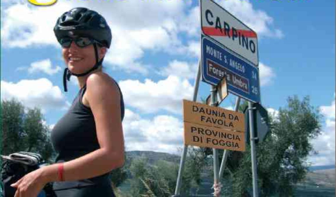 Pubblicato Avviso Pubblico Riconoscimento Abilitazione Guida Turistica