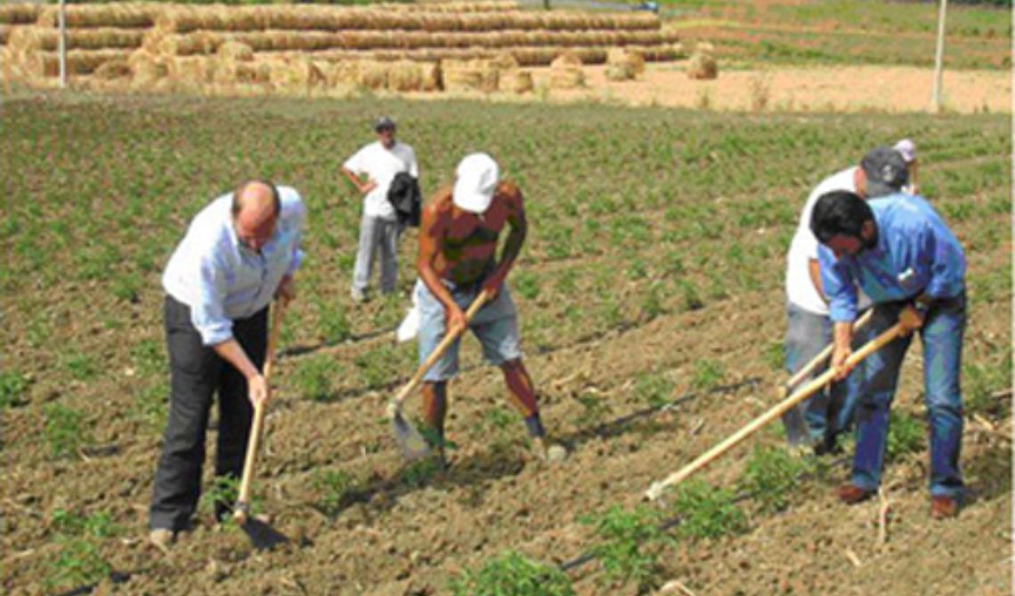 Matera, grande successo per "La spesa in campagna» della Cia