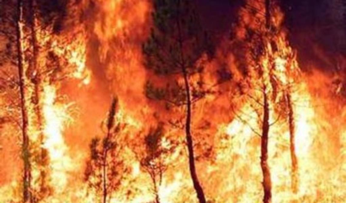 Incendi, Lacorazza (Pd): «Avviare attività di prevenzione per l'intera Basilicata»