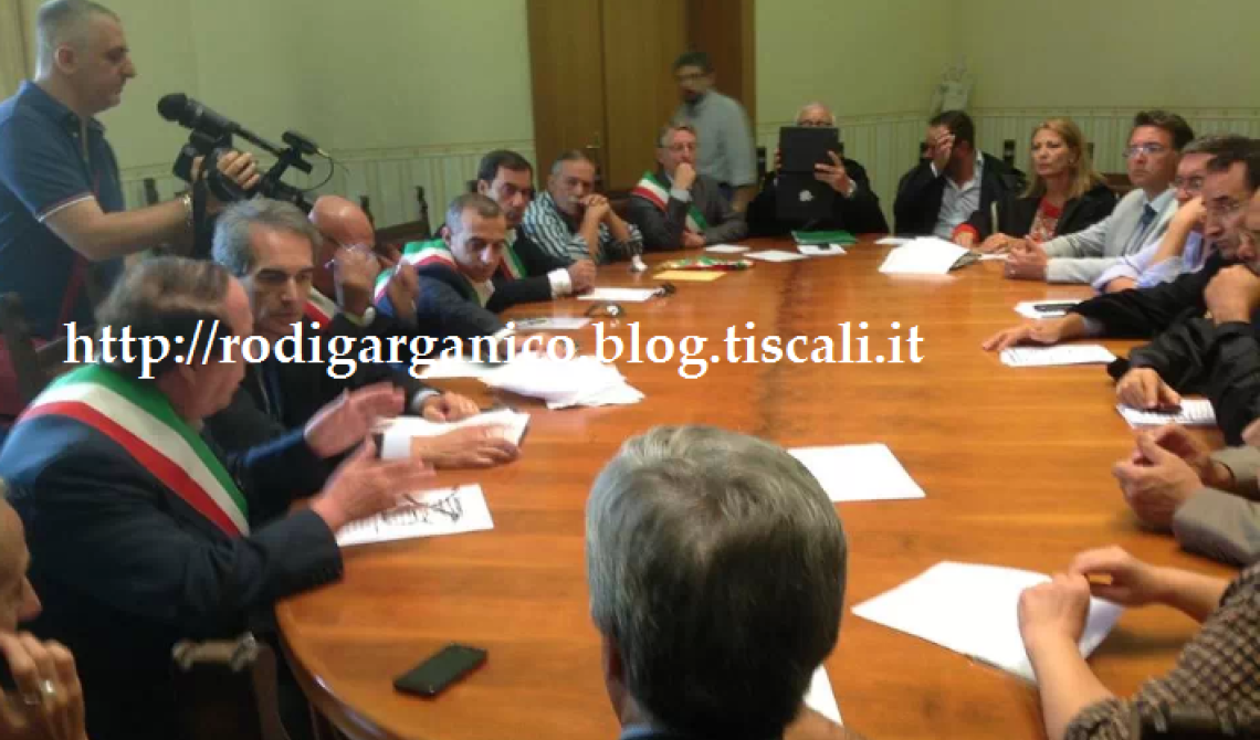 Chiusura tribunale Rodi, 7 sindaci del Gargano dimissionari dal Prefetto