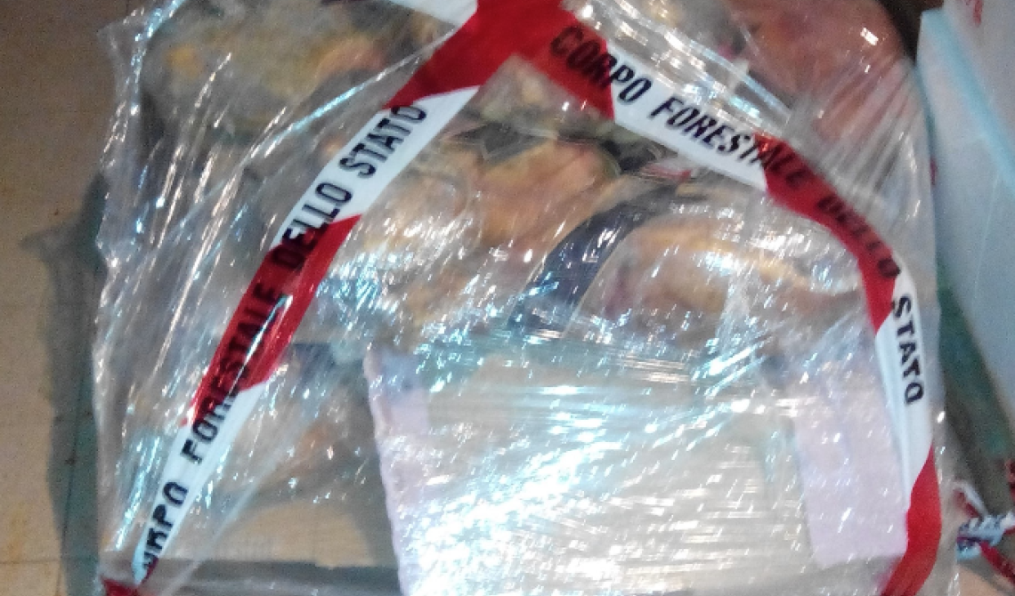 Foggia, controlli nei supermercati e sequestro di prodotti alimentari