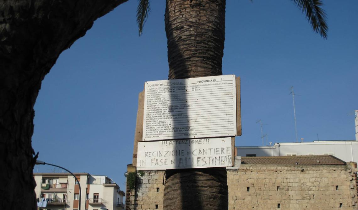 Caccavo deve costruire? La palma secolare va giù!