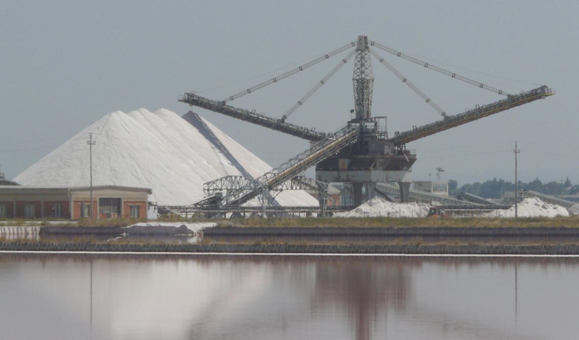 Oggi, 10 ottobre 1977, le saline di Margherita diventano riserva naturale dello Stato