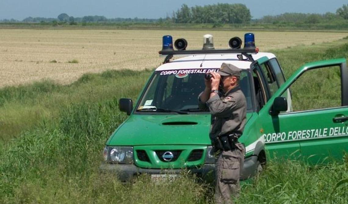 Scoperto a rubare legna nel Parco Nazionale del Gargano: arrestato