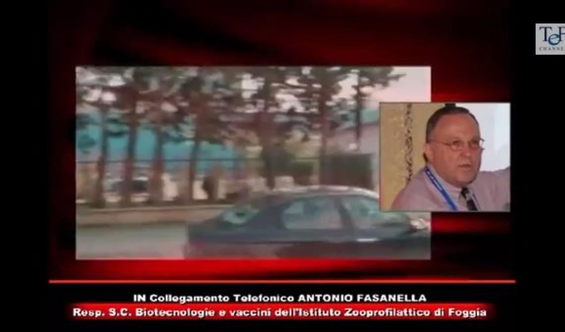 Oggi, 17 ottobre 2001, lo Zooprofilattico di Foggia è scelto come centro analisi mondiale per l'emergenza antrace