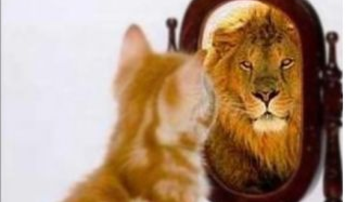 Quell'unica vita che ci dà l'opportunità di essere diversi