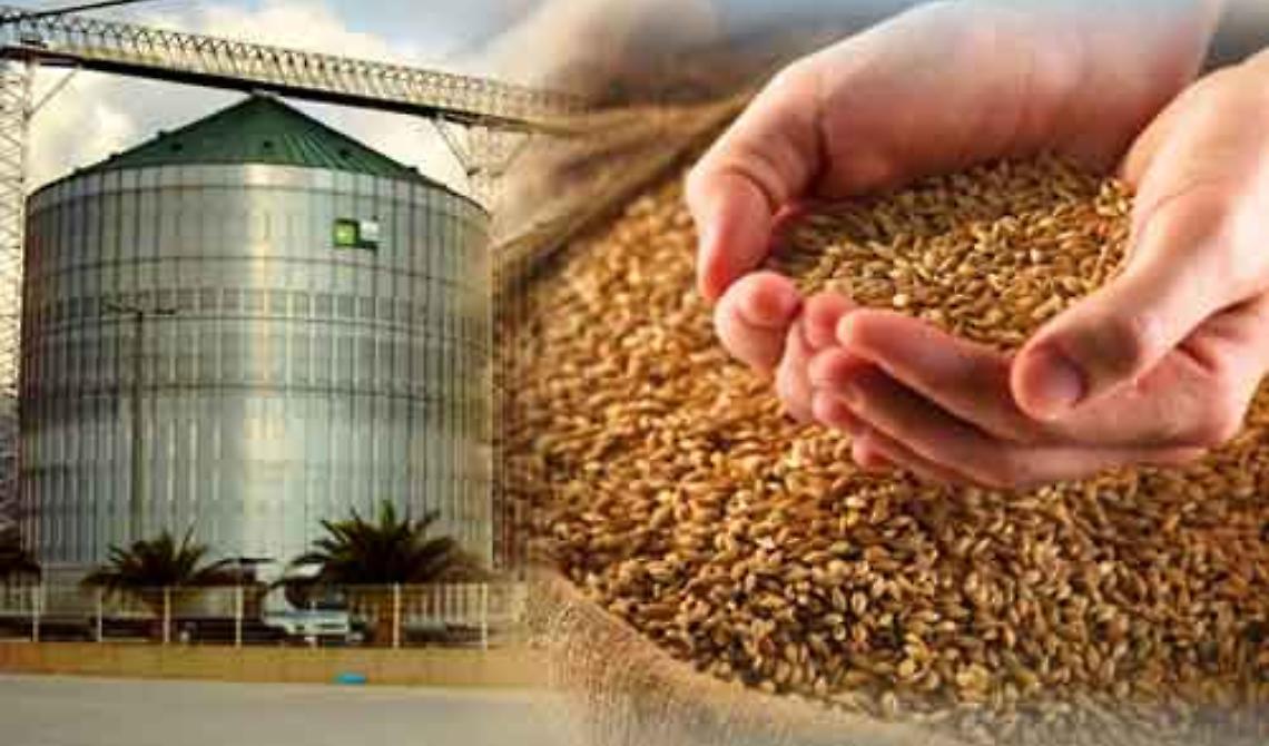 Oggi, 21 gennaio 2013, come Chicago, Foggia diventa centro internazionale per la "Borsa dei future" del grano duro