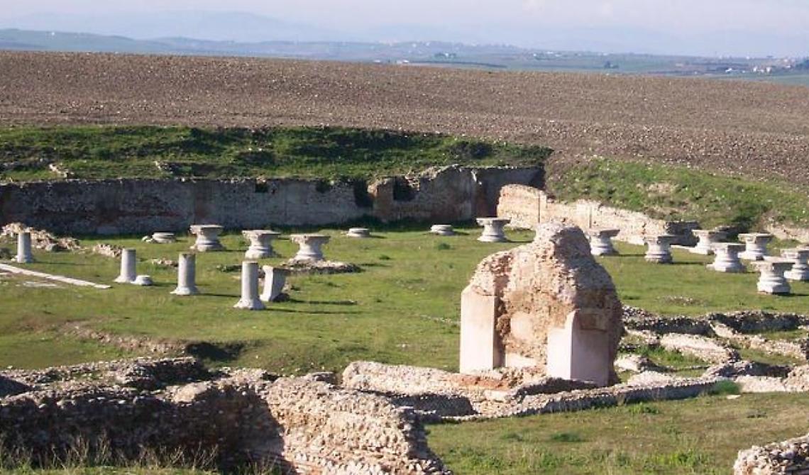 Domattina tutti in stazione a Foggia: c'è un treno che parte per “Le Vie dell’Archeologia”