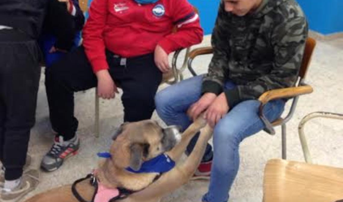In partenza anche nelle scuole di Foggia la campagna "Anpana" per la lotta al randagismo 