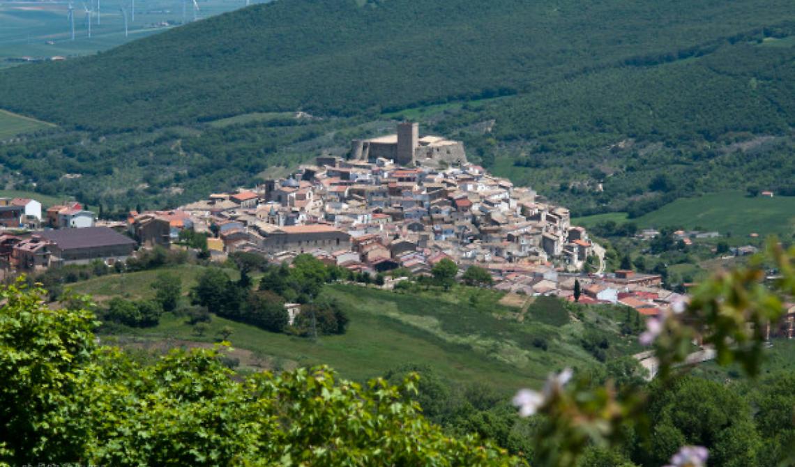 A Deliceto la rivolta delle pecore