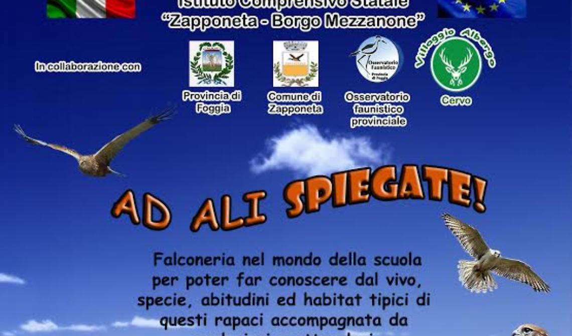 “Ad ali spiegate", così a Zapponeta la scuola si apre al mondo della falconeria