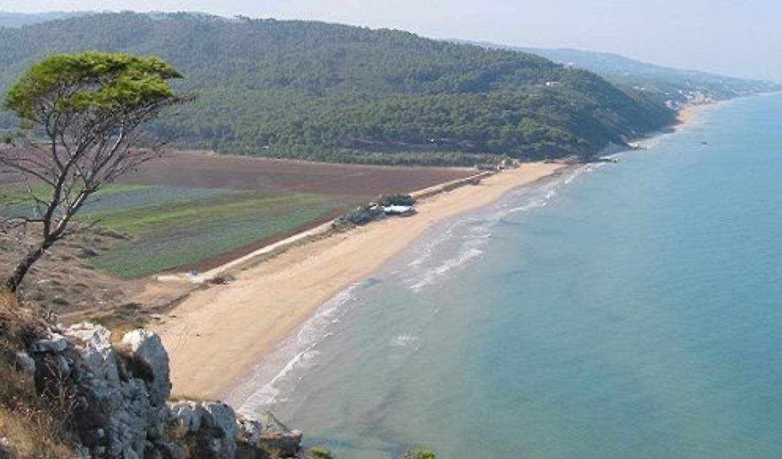 Wwf: «Via la lebbra cementizia dalla baia di Calenella»