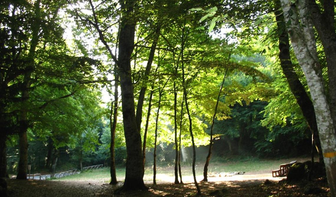 Incontro finale del corso "Guide esclusive del Parco Nazionale del Gargano"