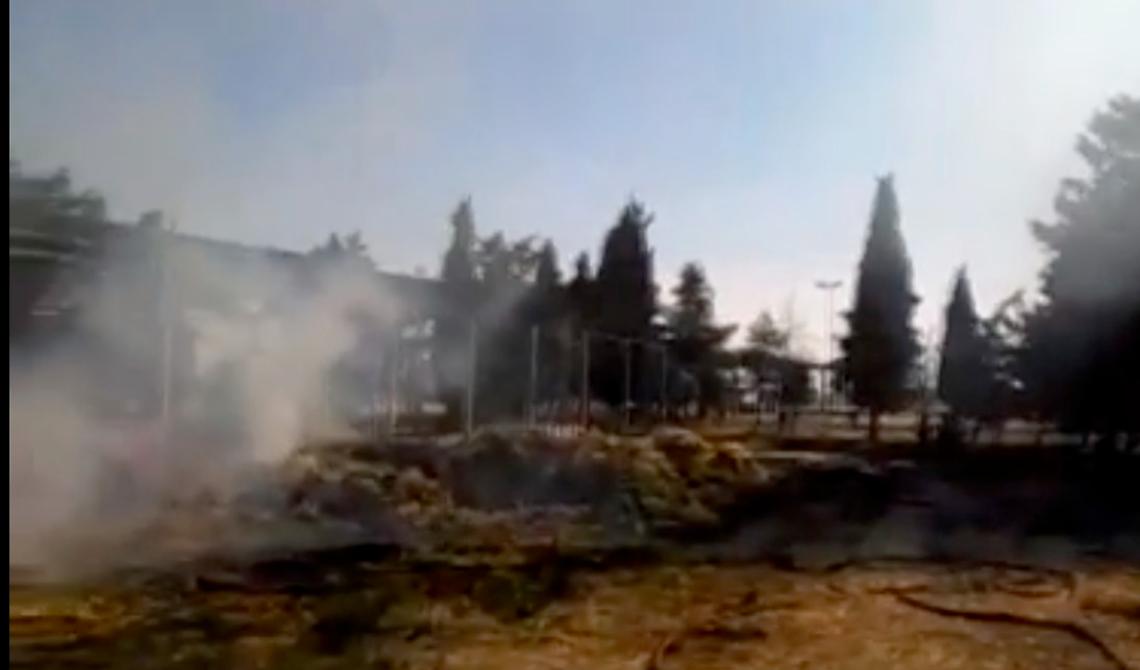 Incendio al Centro di ricerche per la cerealicoltura: in fiamme 6,5 quintali di foraggio