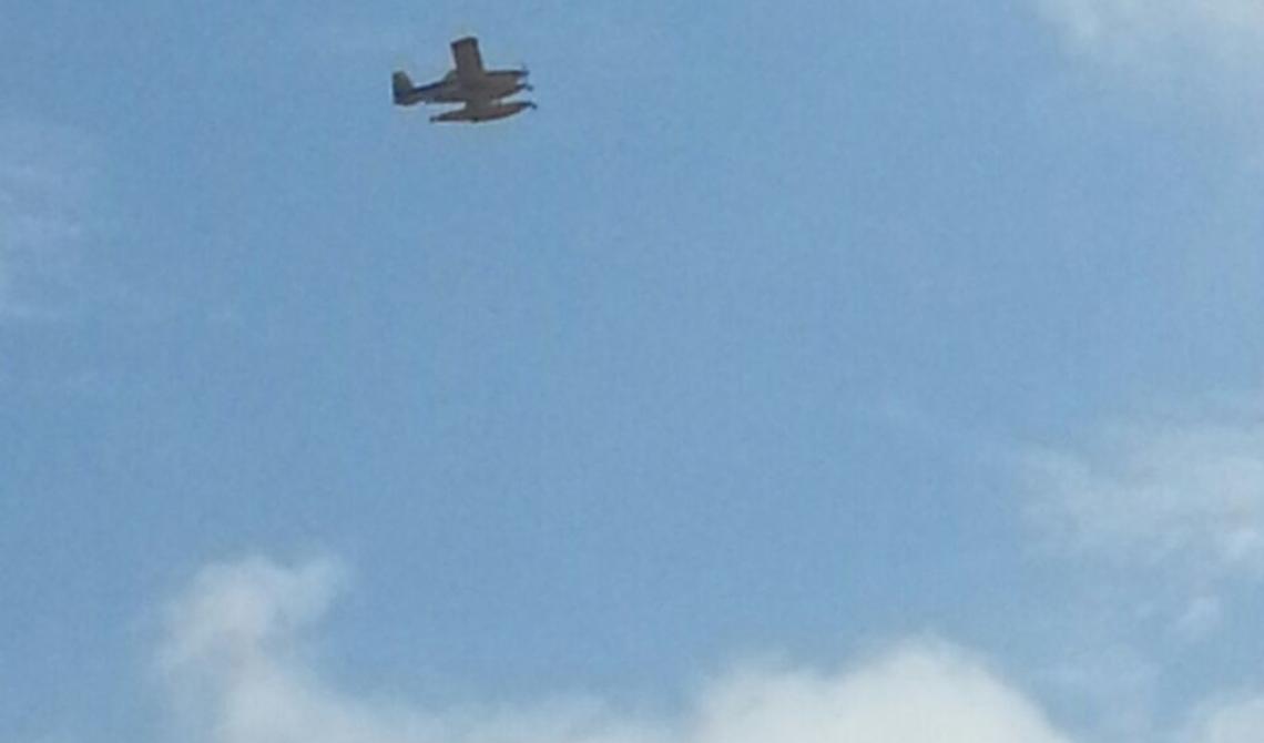 Tremiti, a fuoco 50 ettari su San Domino: Canadair della Regione all'opera per domare le fiamme