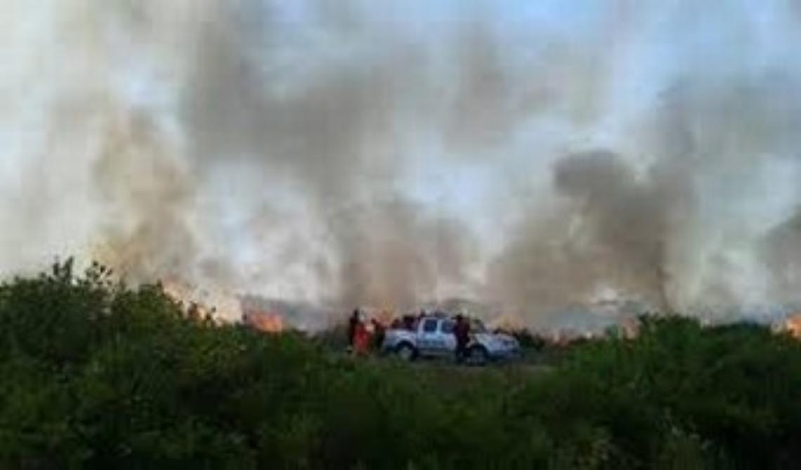 Incendio lago salso