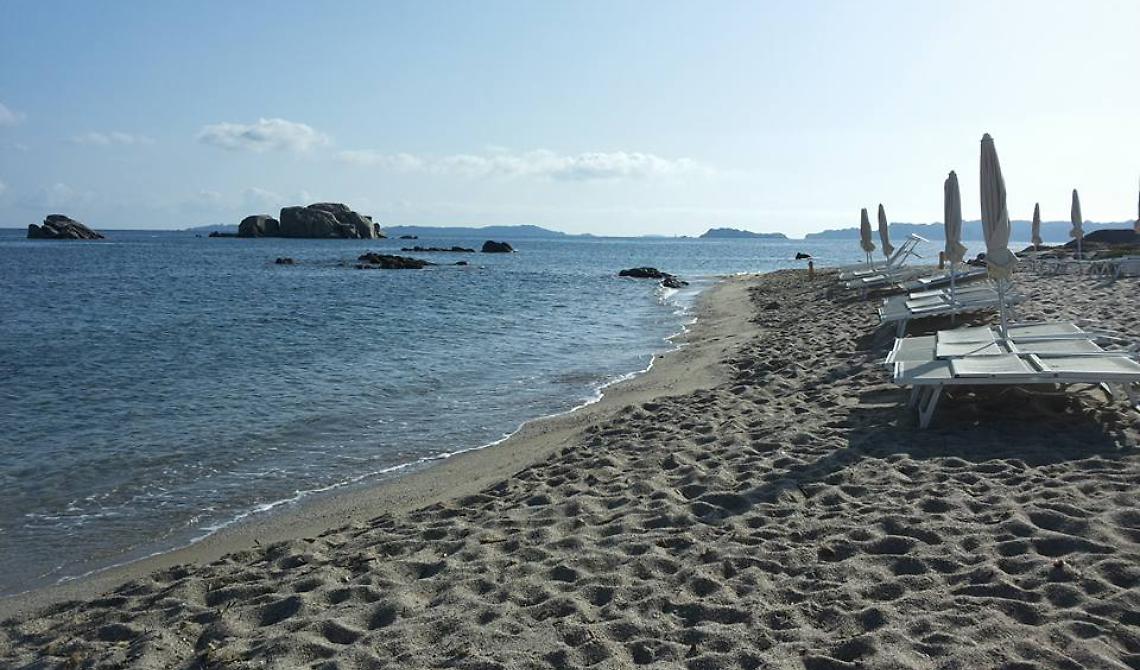 mare