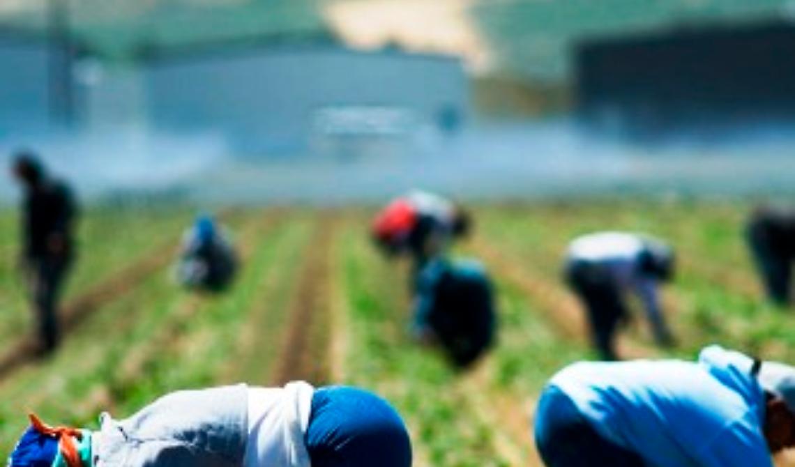 Lotta al caporalato e al lavoro nero, i militari del Nil fanno sul serio: controlli a tappeto nelle aziende foggiane