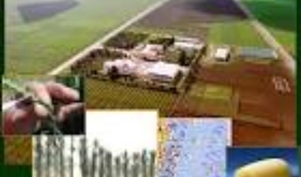 Furto al CRA - rubati nella notte 1500 litri di gasolio agriocolo