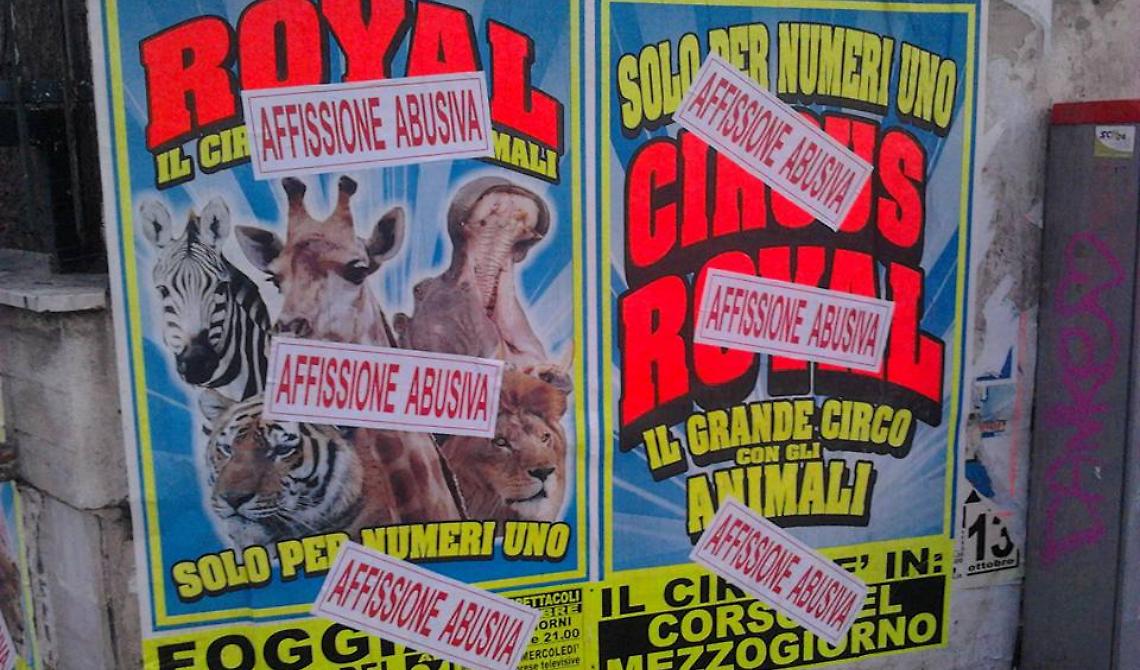 Foggiani, «Non andata a quel circo: gli animali ci soffrono!»