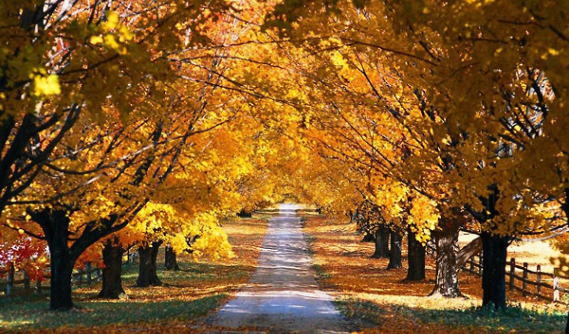 Càpita anche a voi di farvi prendere per mano dall'Autunno?