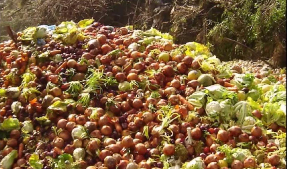 "Nella pancia o nella terra", contro lo spreco alimentare scende in campo Aforis