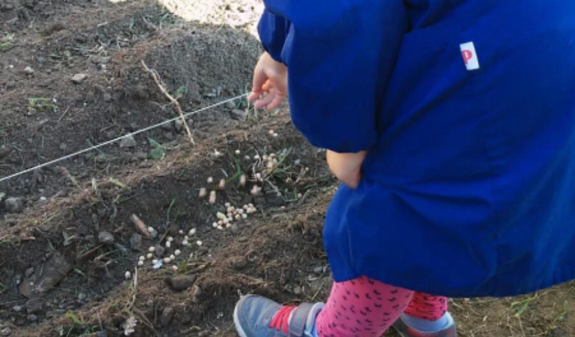 Alla "Fasani" di Lucera le scienze di studiano 'sul campo'