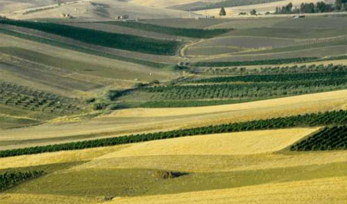Storia e Archeologia globale dei paesaggi rurali, a Foggia l'on. Burletti Buitoni