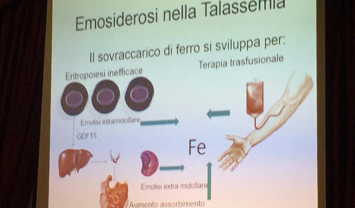 La terapia ferrochelante e la sua vitale importanza nei pazienti affetti da anemie croniche