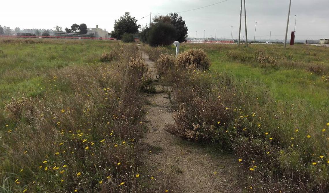 Bottega degli Apocrifi, il teatro si sposta in pineta con "Walk in progress"