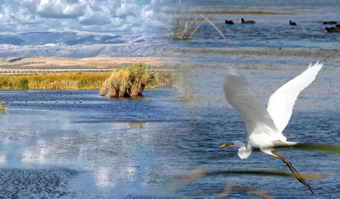 Giornata mondiale Zone Umide, nel week-end visite gratuite al Lago Salso