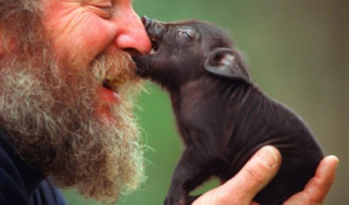 Tutte le direzioni dell'amore