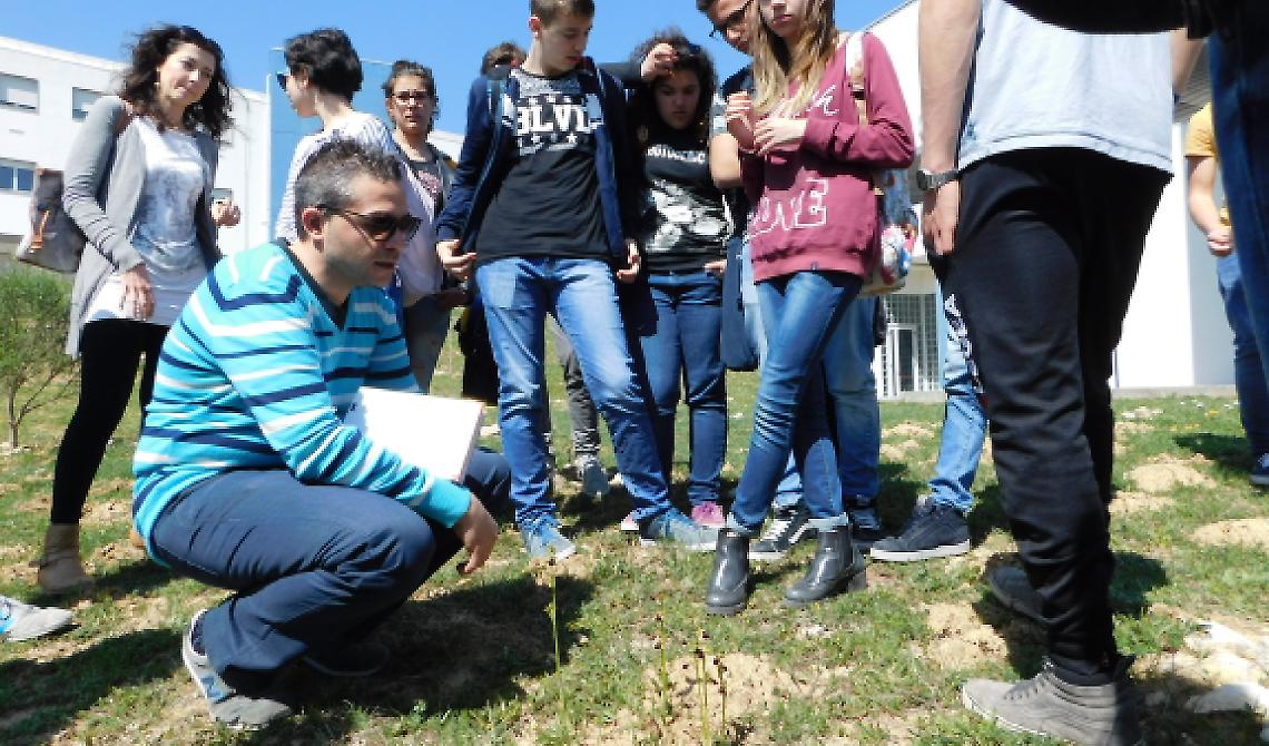 Gli studenti di Bovino a lezione di orchidee spontanee