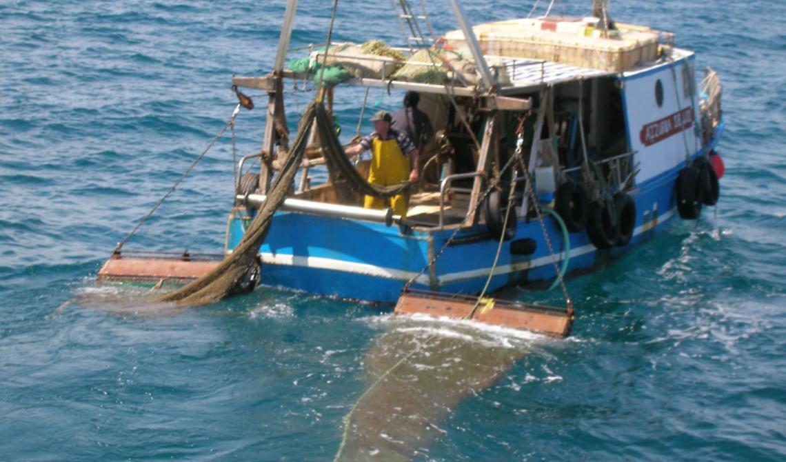 Pesca, Gatta (FI): “ Unanime approvazione mozione per indennizzi da 'fermo biologico', ora giunta dia seguito ”