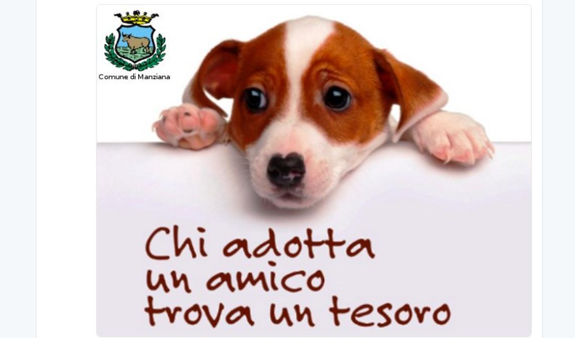 Adotta un amico a quattro zampe e paghi meno tasse: succede nel Comune laziale di Manziana