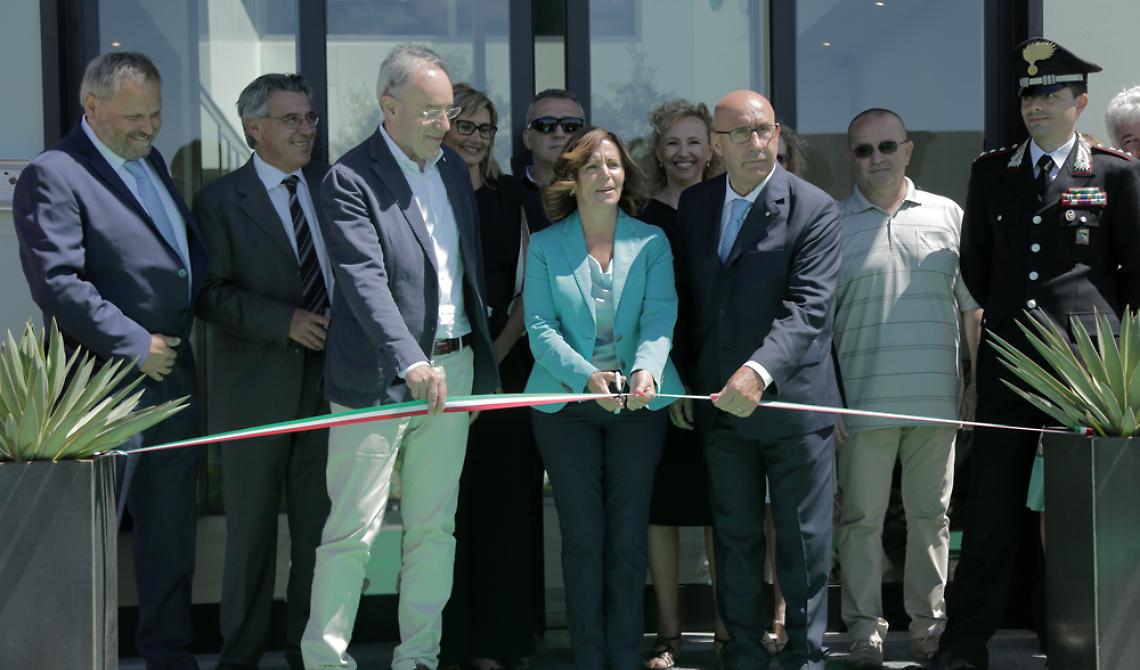 Colomba Mongiello "serve" a tavola il business dell'uva tra Puglia e Emilia 