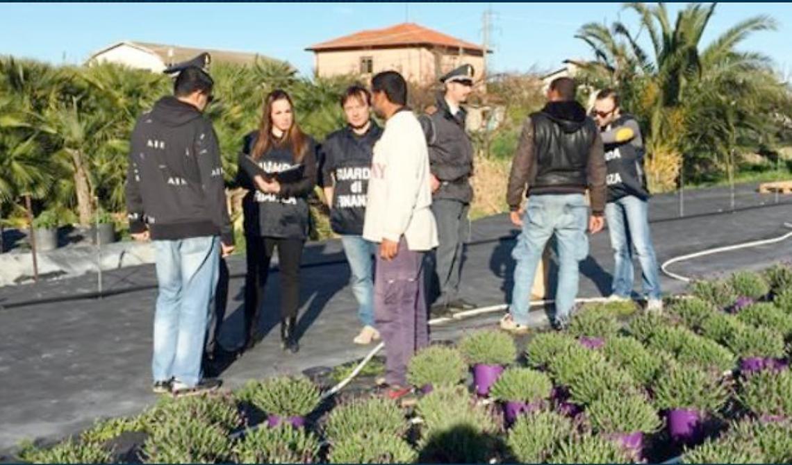 Contrasto del lavoro nero ed irregolare: controlli a tappeto in  tutta la Regione Puglia