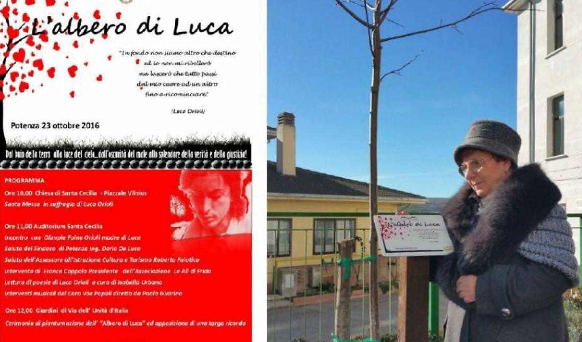 Potenza: si pianterà l'albero di Luca 