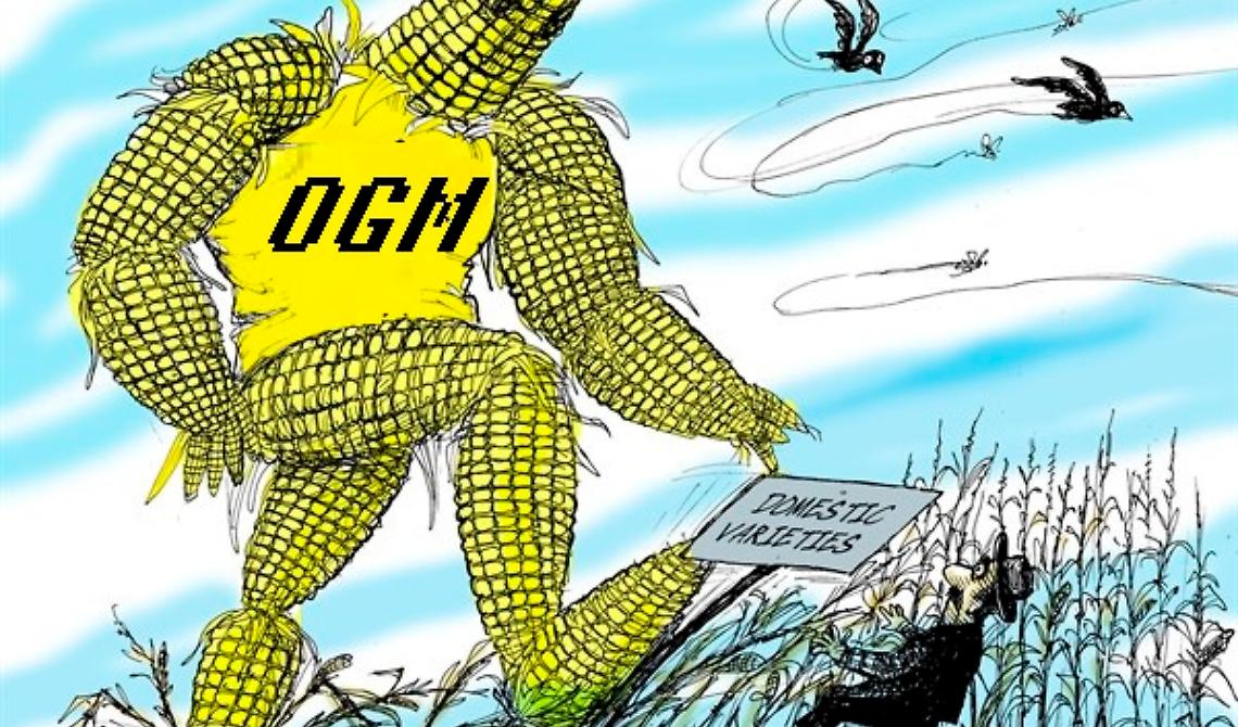 OGM, quante ombre per la salute