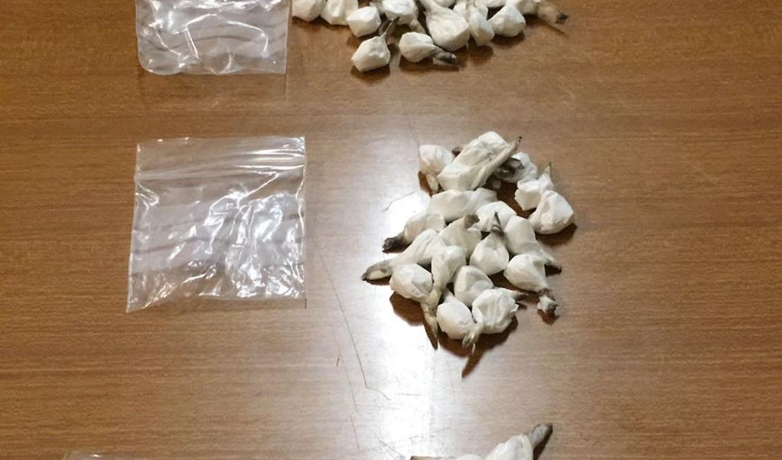 Sorpreso in strada con 20 dosi cocaina: ai domiciliari 21enne