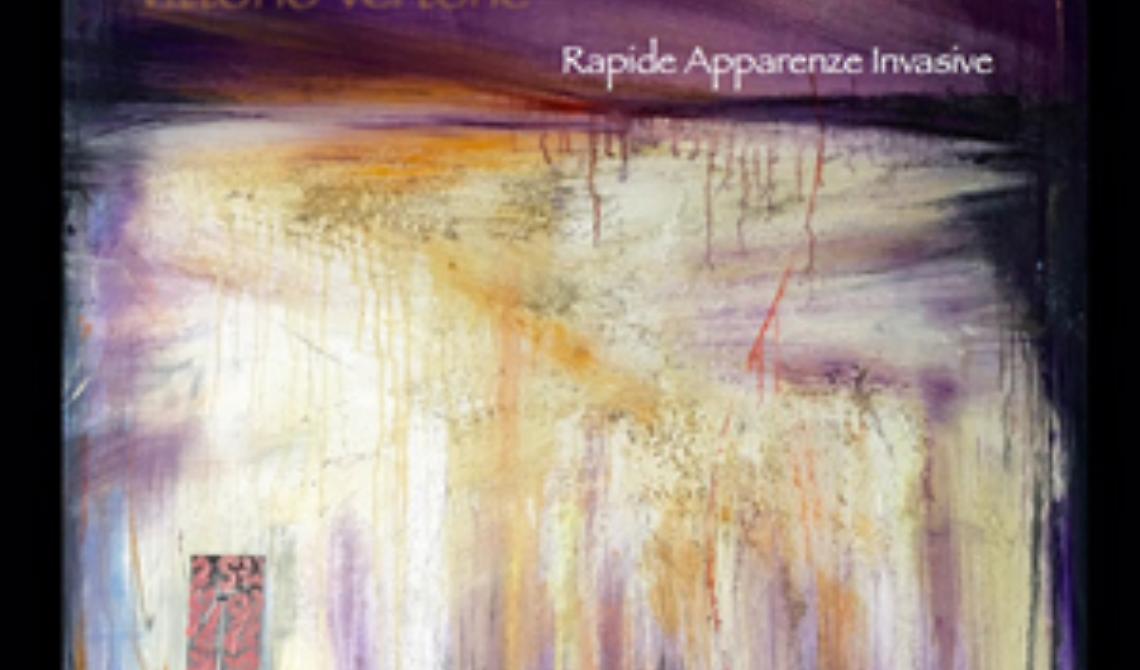 "Rapide apparenze invasive"  denuncia  l'invadenza dell 'energia rinnovabile 