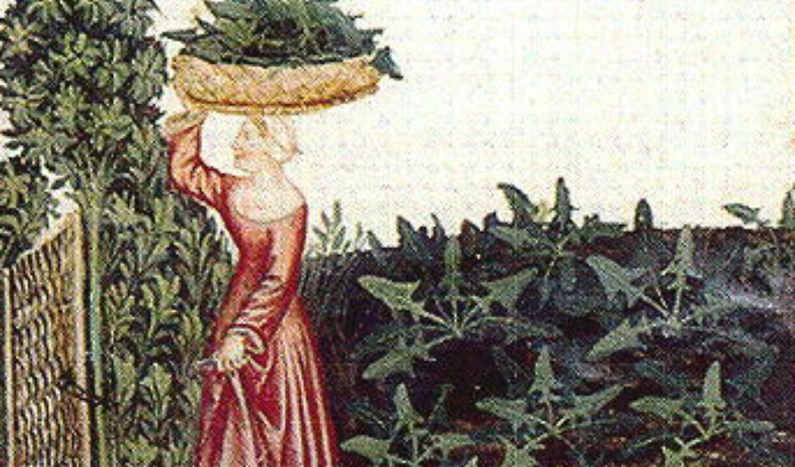 La rucola, l’afrodisiaco di degli afrodisiaci