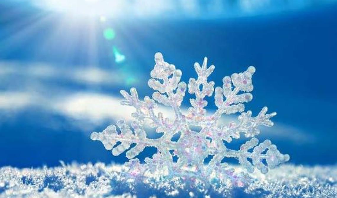 Calore nella neve