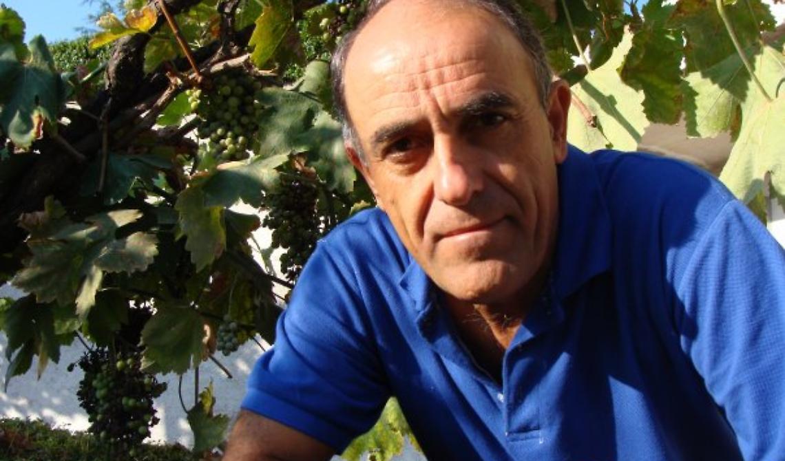 michele grieco