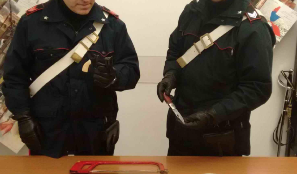 Lucera: rubano in un box ma vengono inseguiti ed arrestati dai carabinieri