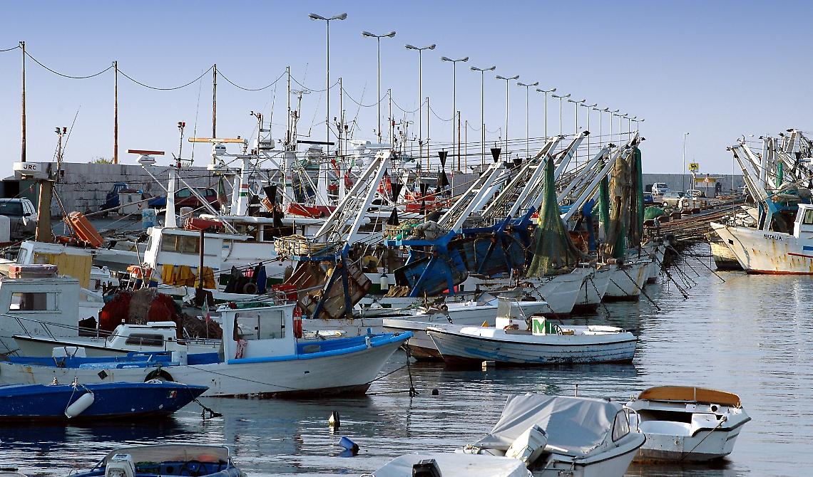 Pesca, Gatta (FI): “ Marinerie Pugliesi in difficoltà, la Regione tarda ad intervenire”