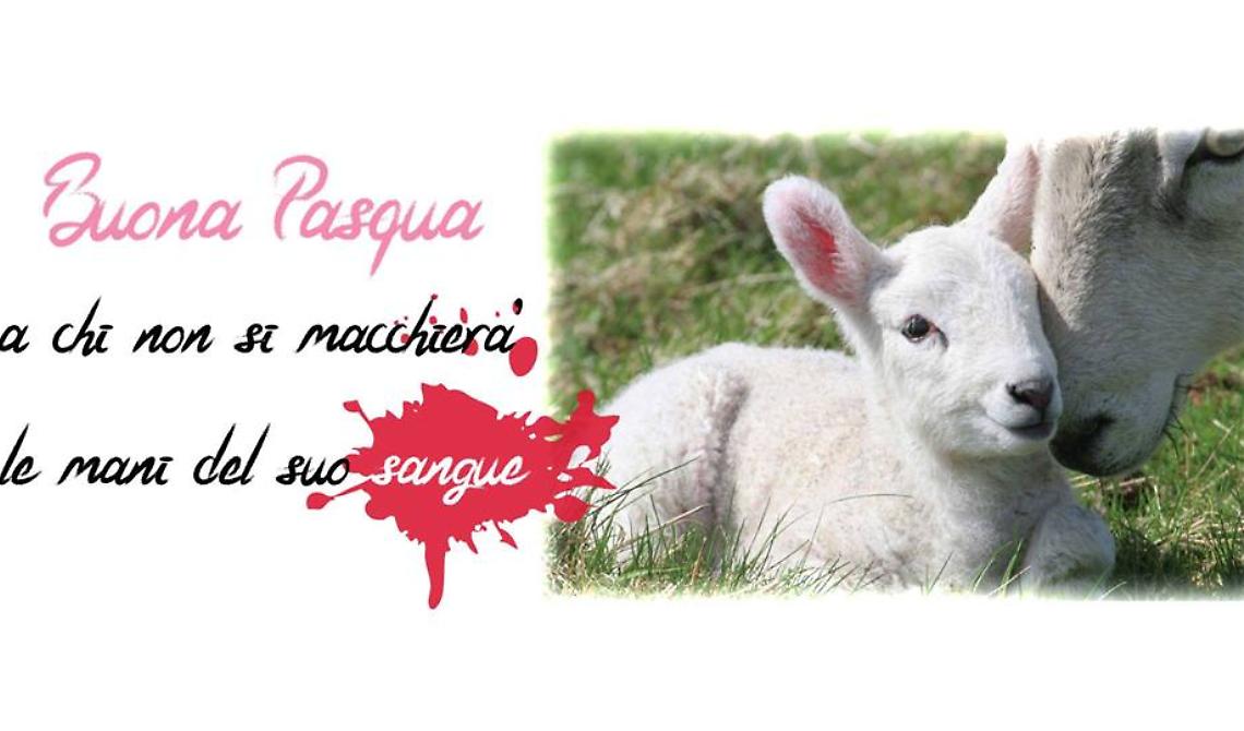 LunaCometa e Liberazione Animale in piazza perché "Nessuno tocchi l'agnello"